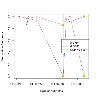 Allele Specific Methylation Frequency Diagram for chr20 61136316 SNP.