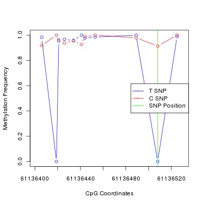 Allele Specific Methylation Frequency Diagram for chr20 61136508 SNP.