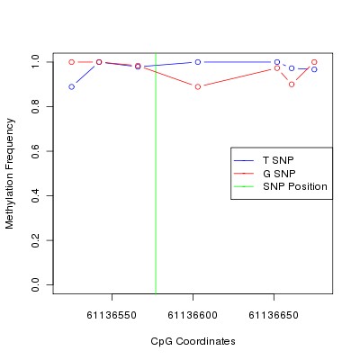 Allele Specific Methylation Frequency Diagram for chr20 61136577 SNP.