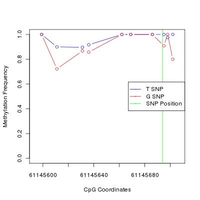 Allele Specific Methylation Frequency Diagram for chr20 61145694 SNP.