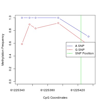 Allele Specific Methylation Frequency Diagram for chr20 61225424 SNP.