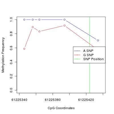 Allele Specific Methylation Frequency Diagram for chr20 61225424 SNP.