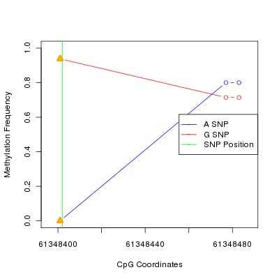 Allele Specific Methylation Frequency Diagram for chr20 61348402 SNP.