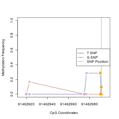 Allele Specific Methylation Frequency Diagram for chr20 61462991 SNP.