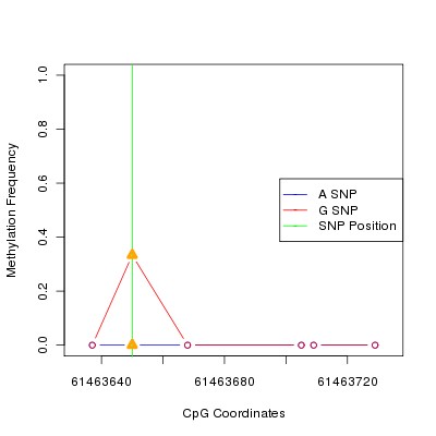 Allele Specific Methylation Frequency Diagram for chr20 61463650 SNP.