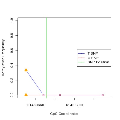 Allele Specific Methylation Frequency Diagram for chr20 61463671 SNP.