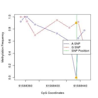 Allele Specific Methylation Frequency Diagram for chr20 61568435 SNP.