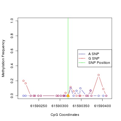 Allele Specific Methylation Frequency Diagram for chr20 61590319 SNP.