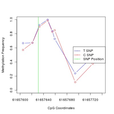 Allele Specific Methylation Frequency Diagram for chr20 61657631 SNP.