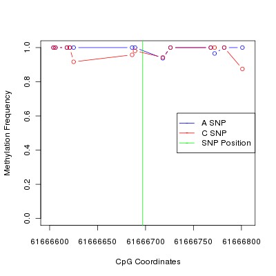 Allele Specific Methylation Frequency Diagram for chr20 61666697 SNP.