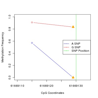 Allele Specific Methylation Frequency Diagram for chr20 61669130 SNP.