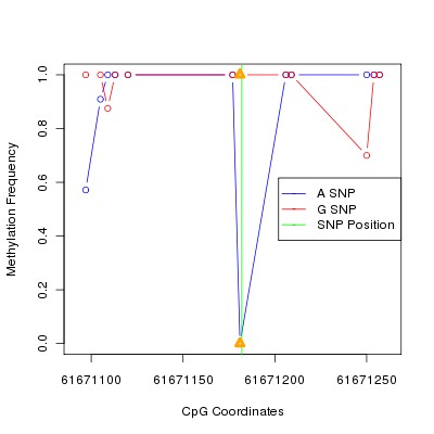 Allele Specific Methylation Frequency Diagram for chr20 61671182 SNP.