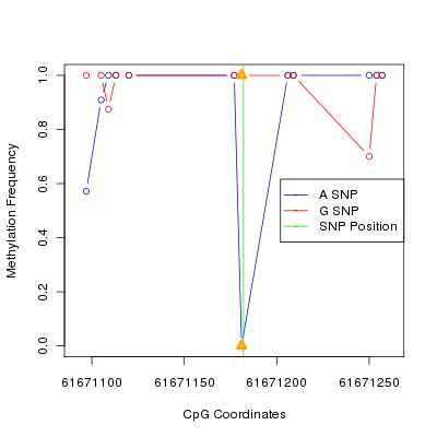 Allele Specific Methylation Frequency Diagram for chr20 61671182 SNP.