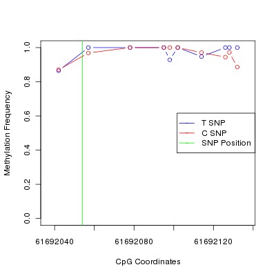 Allele Specific Methylation Frequency Diagram for chr20 61692054 SNP.