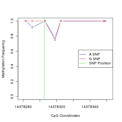 Allele Specific Methylation Frequency Diagram for chr21 14378305 SNP.