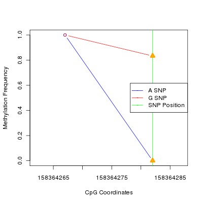 Allele Specific Methylation Frequency Diagram for chr3 158364282 SNP.