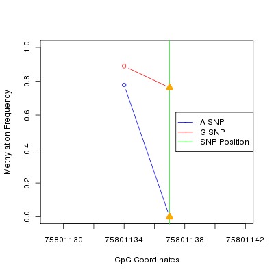 Allele Specific Methylation Frequency Diagram for chr3 75801137 SNP.