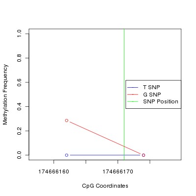 Allele Specific Methylation Frequency Diagram for chr4 174666171 SNP.