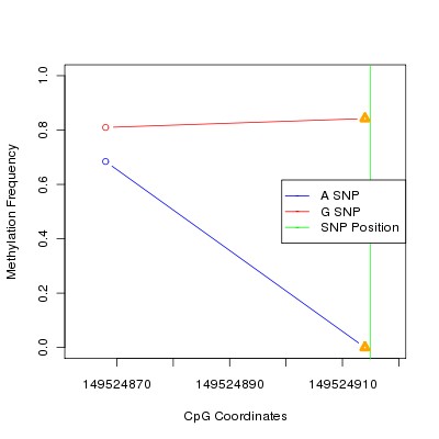 Allele Specific Methylation Frequency Diagram for chr5 149524915 SNP.