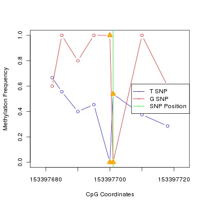 Allele Specific Methylation Frequency Diagram for chrX 153397701 SNP.