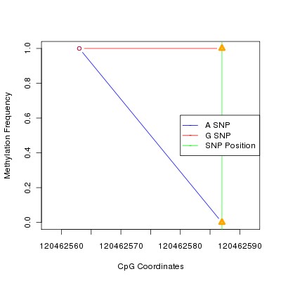Allele Specific Methylation Frequency Diagram for chr10 120462587 SNP.