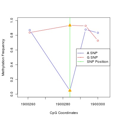 Allele Specific Methylation Frequency Diagram for chr11 1900284 SNP.
