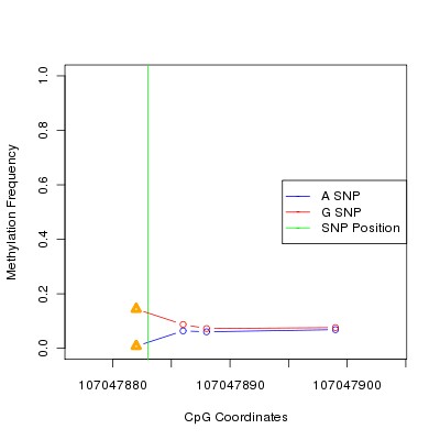 Allele Specific Methylation Frequency Diagram for chr12 107047883 SNP.
