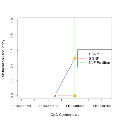 Allele Specific Methylation Frequency Diagram for chr12 119938696 SNP.