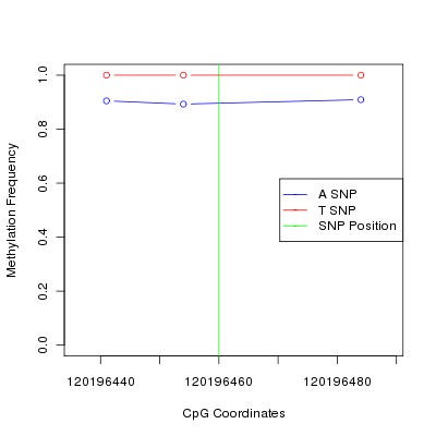 Allele Specific Methylation Frequency Diagram for chr12 120196460 SNP.