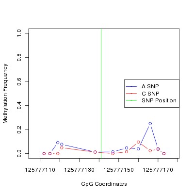 Allele Specific Methylation Frequency Diagram for chr12 125777141 SNP.