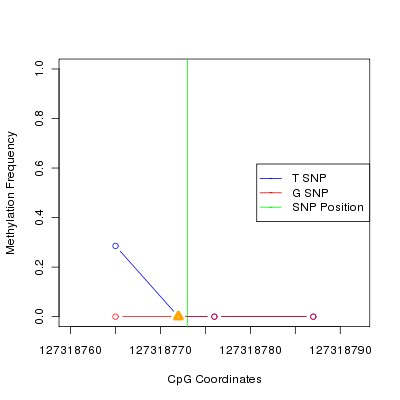 Allele Specific Methylation Frequency Diagram for chr12 127318773 SNP.