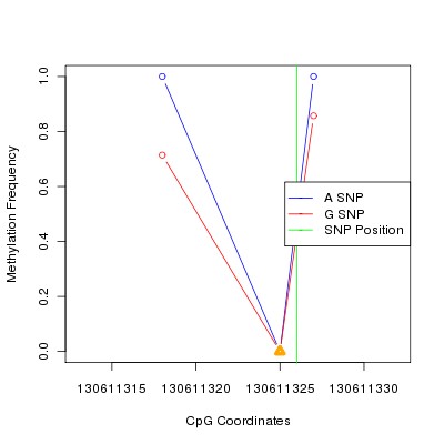 Allele Specific Methylation Frequency Diagram for chr12 130611326 SNP.