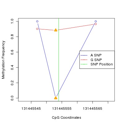 Allele Specific Methylation Frequency Diagram for chr12 131445554 SNP.