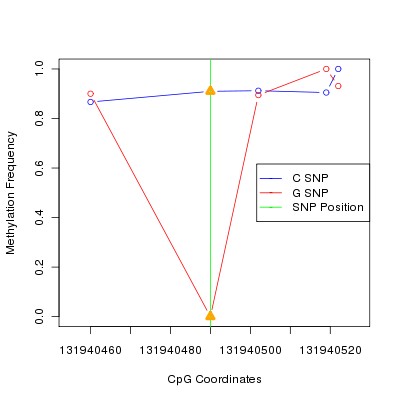 Allele Specific Methylation Frequency Diagram for chr12 131940490 SNP.