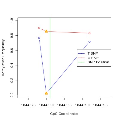 Allele Specific Methylation Frequency Diagram for chr12 1844881 SNP.