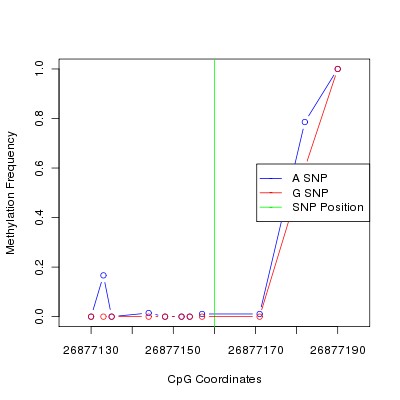 Allele Specific Methylation Frequency Diagram for chr12 26877160 SNP.