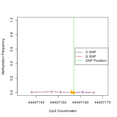 Allele Specific Methylation Frequency Diagram for chr12 44407157 SNP.