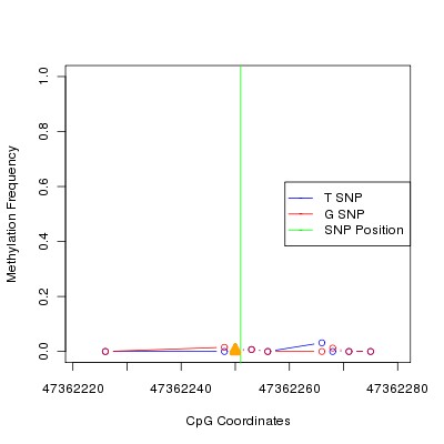Allele Specific Methylation Frequency Diagram for chr12 47362251 SNP.