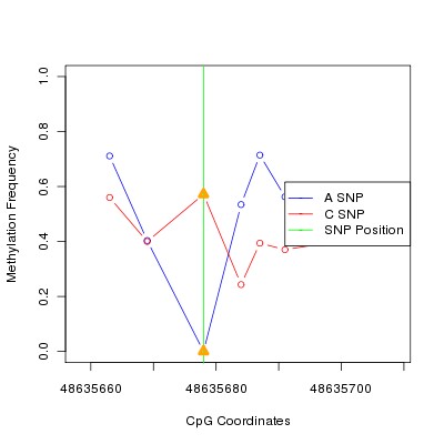 Allele Specific Methylation Frequency Diagram for chr12 48635678 SNP.