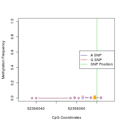 Allele Specific Methylation Frequency Diagram for chr12 52356070 SNP.