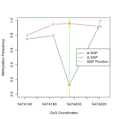 Allele Specific Methylation Frequency Diagram for chr12 5474196 SNP.