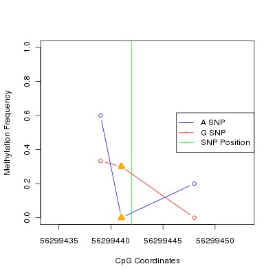 Allele Specific Methylation Frequency Diagram for chr12 56299442 SNP.