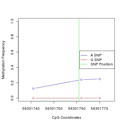 Allele Specific Methylation Frequency Diagram for chr12 56301761 SNP.