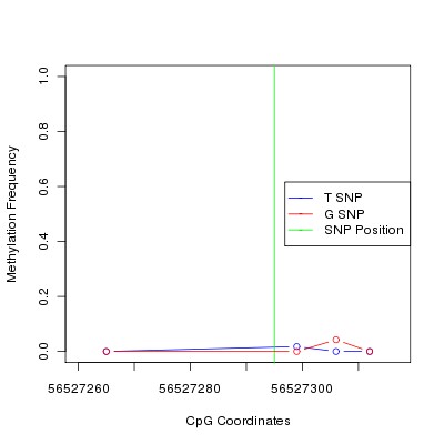 Allele Specific Methylation Frequency Diagram for chr12 56527295 SNP.