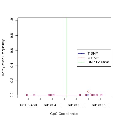 Allele Specific Methylation Frequency Diagram for chr12 63132492 SNP.