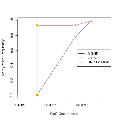 Allele Specific Methylation Frequency Diagram for chr12 6613711 SNP.