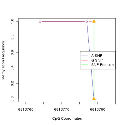 Allele Specific Methylation Frequency Diagram for chr12 6613779 SNP.