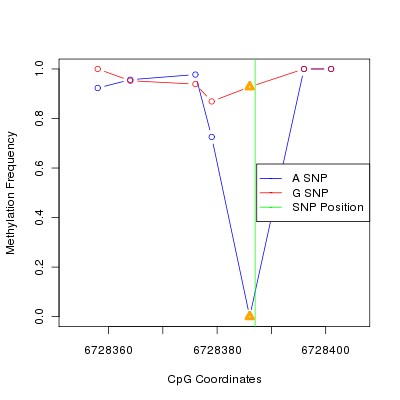 Allele Specific Methylation Frequency Diagram for chr12 6728387 SNP.