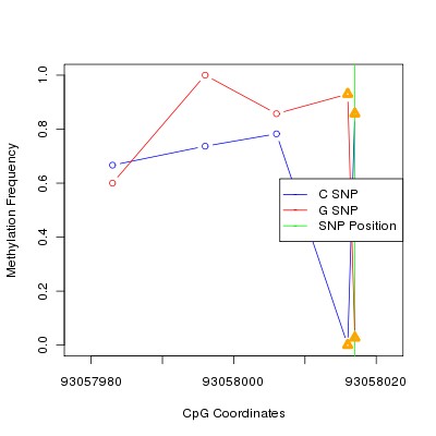 Allele Specific Methylation Frequency Diagram for chr12 93058017 SNP.