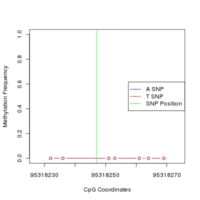 Allele Specific Methylation Frequency Diagram for chr12 95318247 SNP.